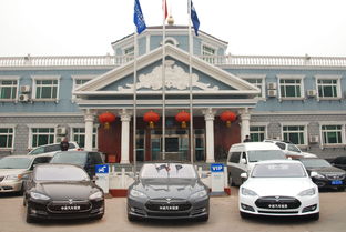 中进汽车租赁稳步推进新能源汽车租赁业务