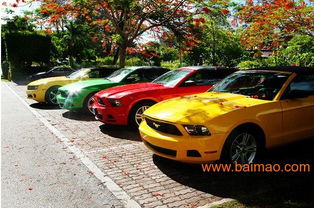 东营租车 东营汽车租赁 东营租车服务 东营租车公司,东营租车 东营汽车租赁 东营租车服务 东营租车公司生产厂家,东营租车 东营汽车租赁 东营租车服务 东营租车公司价格